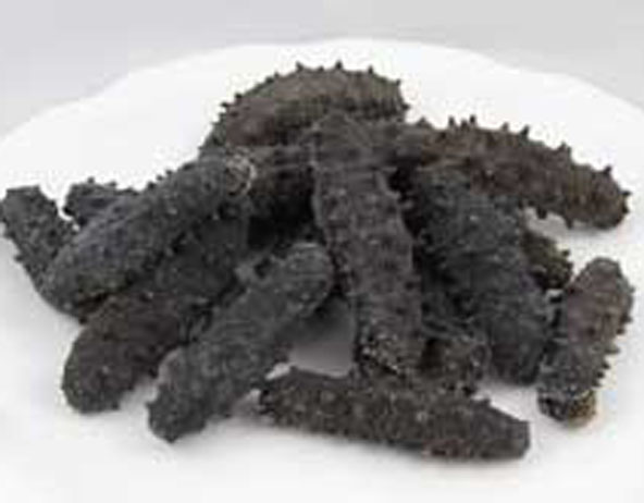 Dried Sea Cucumber